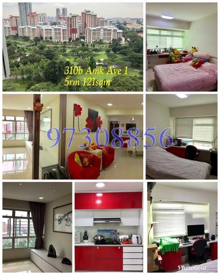 Blk 310B Ang Mo Kio Avenue 1 (Ang Mo Kio), HDB 5 Rooms #162621982